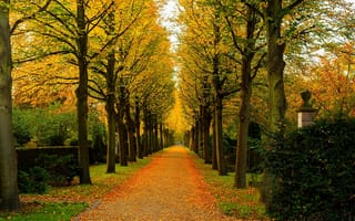 Обои nature, colorful, walk, парк, road, path, autumn, trees, осень, деревья, forest, fall, park, leaves, дорога, лес, природа, colors, листья