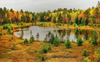 Обои осень, природа, озеро, лес