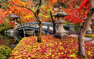 Картинка осень, листья, деревья, Япония, landscape, tree, Kyoto, bridge, autumn, park, colorful, Japan, leaves, японский сад, клен, парк