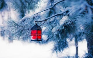 Картинка елка, зима, рождество, фонарь, снег, новый год