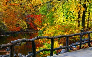Обои nature, река, colors, trees, park, листья, river, walk, природа, деревья, water, осень, fall, autumn, forest, парк, вода, горы, leaves, лес, colorful