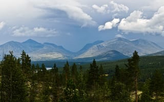 Картинка лес, небо, деревья, горы, облака, зеленый, природа, пейзаж