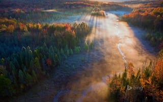 Картинка Beaver Meadow, осень, деревья, закат, лес, река, лучи, Green Mountain National Forest, США, Вермонт