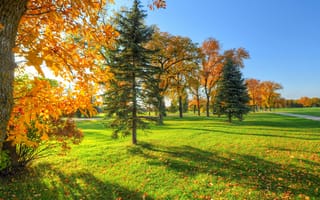 Картинка небо, осень, парк, листья, дорожка, трава, деревья