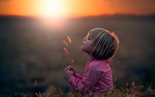 Картинка девочка, поле, солнце