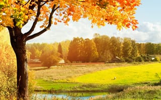 Картинка лес, поляна, дома, дерево, листья, речка, желтые, осень