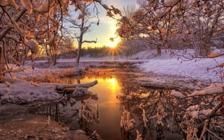 Картинка зима, природа, река, рассвет, снег, лес
