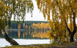 Обои осень, река, деревья, природа