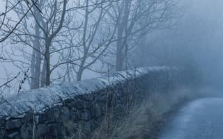 Картинка утро, дорога, туман, каменная ограда