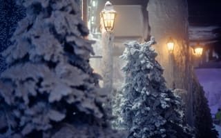 Картинка деревья, фонарь, снег, природа, зима