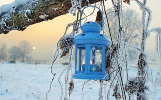 Картинка природа, зима, фонарь, снег, деревья