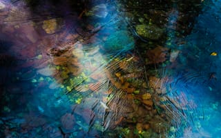 Картинка листья, вода, лед, осень