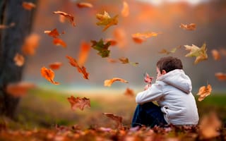 Картинка мальчик, осень, листья