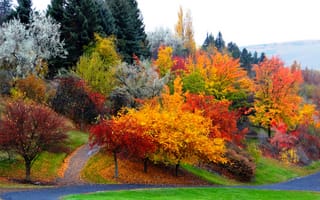 Обои nature, path, парк, дорога, leaves, деревья, лес, листья, природа, autumn, forest, road, fall, walk, trees, осень, colors, park, colorful
