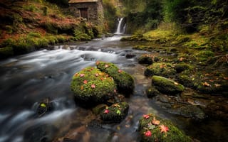 Картинка лес, водопад, речка, Англия