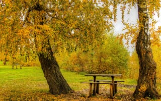 Картинка осень, скамейки, лавочки, листья, парк, желтые, деревья, столик, кусты