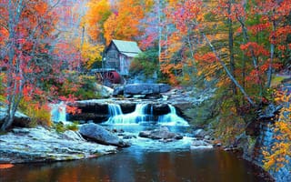 Картинка США, речка, домик, деревья, Babcock State Park, камни, лес, осень, водопад