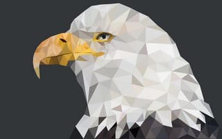 Картинка america, eagle, beast, geometric