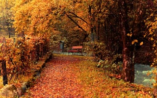Картинка осень, парк, ручей, желтые, скамейка, лавочка, ограда, деревья, дорожка, листья