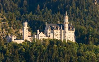 Картинка лес, деревья, Neuschwanstein Castle, Germany, Замок Нойшванштайн, Германия, Schwangau, Бавария, Швангау, Bavaria, замок