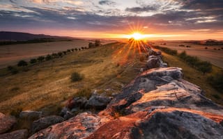 Картинка поле, небо, солнце, деревья, лучи, облака, закат, пейзаж