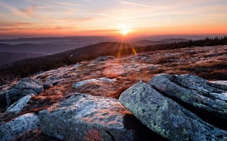 Картинка поле, осень, лучи, свет, солнце, лес, облака, небо