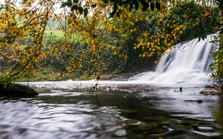 Картинка осень, листья, водопад, природа, водоем, ветки, листва