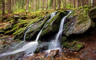 Картинка лес, камни, мох, валуны, водопад, поток