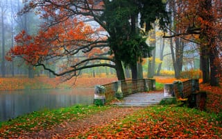 Обои nature, colorful, autumn, colors, walk, небо, река, осень, river, fall, лес, вода, парк, forest, trees, природа, листья, leaves, water, деревья, горы, park