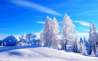 Картинка природа, forest, sky, cool, sunset, пейзаж, небо, nice, beautiful, path, road, зима, snow, деревья, mountains, горы, дорога, white, лес, trees, снег, winter, nature