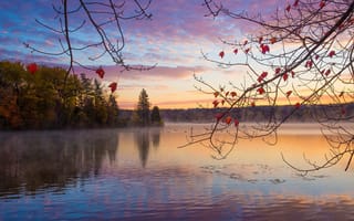 Картинка осень, лес, восход, озеро, утро