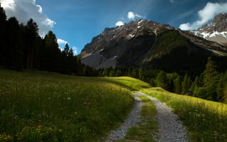 Картинка дорога, лес, луг, горы, лето, трава, небо, дорожка