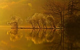 Картинка закат, деревья, отражение, остров, лес, осень, озеро