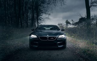 Картинка BMW, M6, Dark, Horses, Fog, Forest, AC Schnitzer