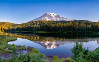 Картинка лес, лето, озеро, горы, берег, синева, отражение, растительность