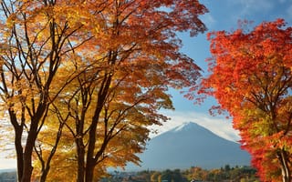 Картинка Япония, дома, деревья, небо, листья, осень, гора Фудзияма, озеро