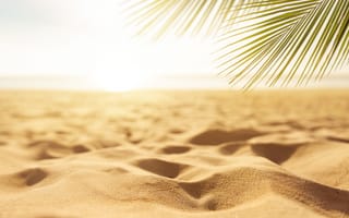 Картинка песок, море, palms, seascape, summer, sand, лето, sea, paradise, beach, пляж, пальмы, небо, берег, солнце, beautiful