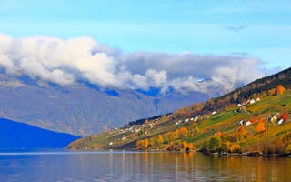 Картинка осень, лес, желтый, облака, горы, деревья, небо, пейзаж