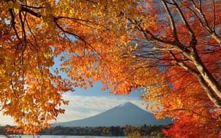 Картинка Япония, дом, осень, небо, листья, озеро, гора Фудзияма, деревья
