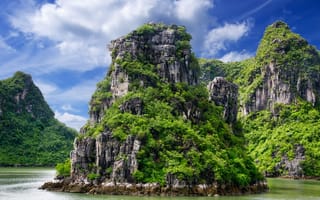 Картинка море, зелень, тропики, горы