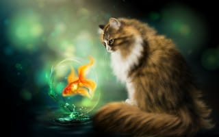 Картинка Нelena, fish, cat, Photoshop, кот, золотая рыбка
