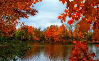 Картинка осень, деревья, река, природа