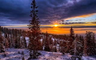 Картинка Норвегия, горы, снег, деревья, природа, пейзаж, холмы, долина, елки, небо, закат, солнце, зима