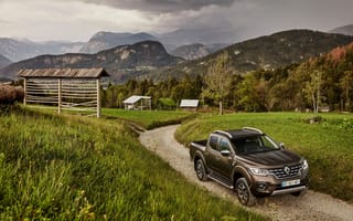 Картинка трава, Alaskan, 2017, Renault, пикап, 4x4, горы, коричневый, луг