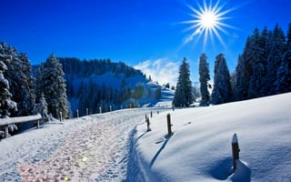 Обои природа, winter, sky, зима, white, солнце, snow, cool, небо, nice, forest, road, пейзаж, sun, scenery, park, лес, дороги, парк, горы, landscape, mountain, nature, sunset, снег, beautiful