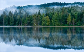 Картинка Канада, туман, лес, деревья, Morton British Columbia, озеро