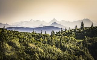 Картинка лес, Австрия, Аннаберг, горы