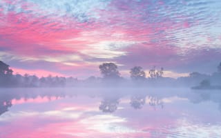 Картинка Нидерланды, утро, осень, озеро, Сентябрь, туман
