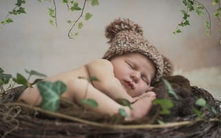 Обои сон, спящий, младенец, ребёнок, гнездо, шапочка