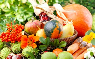 Картинка цветы, осень, каштаны, зелень, яблоки, рябина, тыква, кукуруза, овощи, груши, мак, корзинка, природа, морковь